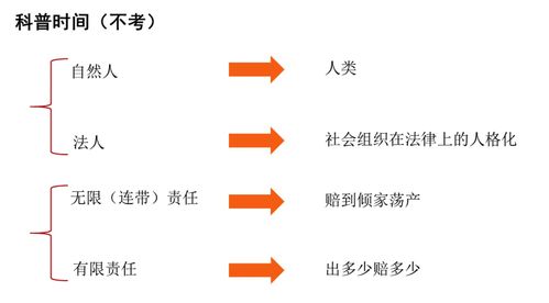 网络经济时代下的企业管理转型与创新
